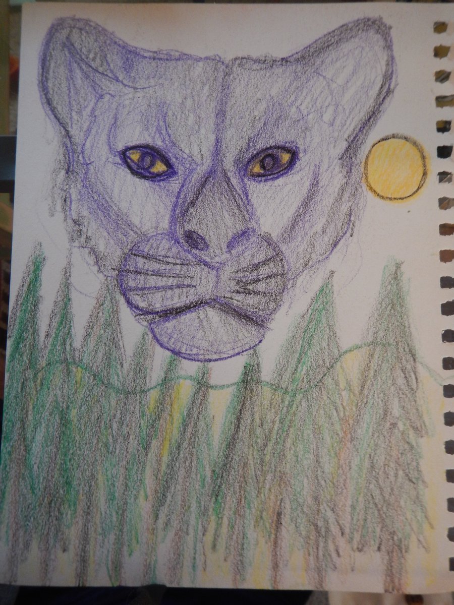 GriffKohout's tweet photo. like a #true nature's child, we were #Born, BORN TO BE WILD !!!!
stay #wild yo!
#live free & never #fear #death because our #ancent #alien #universal #essence is #eternal yo!
#WE are #tree #cougar #mountain #rock #sun!
#Onelove #legalizelegends #greencloudartorg #panther #art https://t.co/wkAkvjpLoR