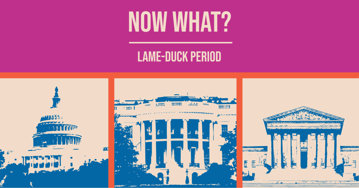 CivicInfluencer's tweet image. Learn about #ThePostElection! What is a "lame-duck period? #NowWhat

#StudentsVote #GenZVotes #VoterEducation