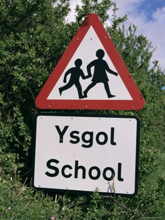 The Ysgol School: You've heard of a school of fish. This is like that but undead zombie fish. Grab your child's hand and RUN!4/5