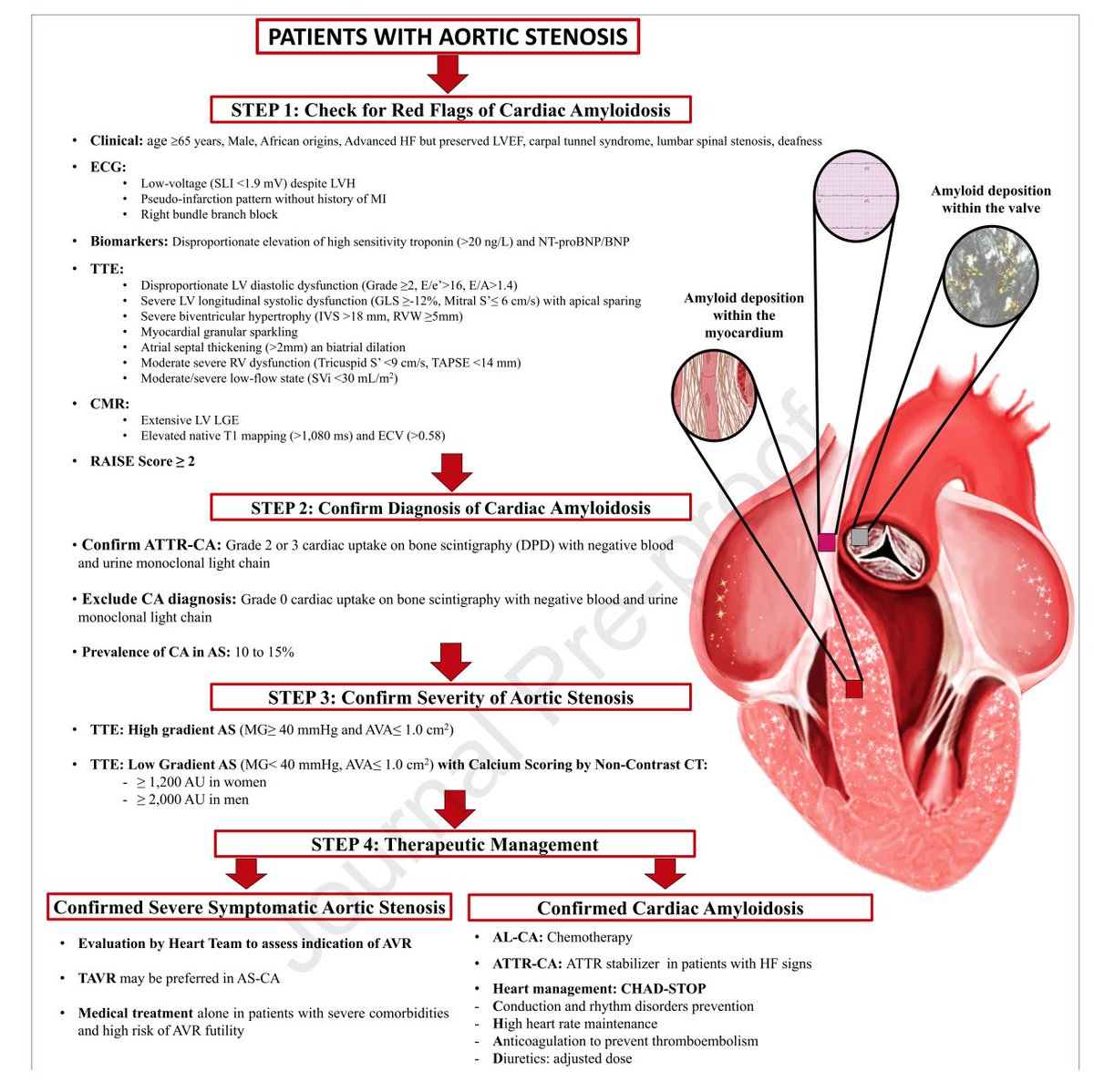 🧐Concomitant Cardiac Amyloidosis in Severe Aortic Stenosis: The Trojan Horse?🐎 <a href="/JACCJournals/">JACC Journals</a> via <a href="/PPibarot/">Philippe Pibarot</a> <a href="/cardiopole/">Lancellotti</a> <a href="/LubbDup/">Jagat Narula</a> #CardioEd #FOAMed #amyloidosis <a href="/SVCardio/">SVCardio</a> <a href="/gonzaeperez/">Gonzalo Perez</a> <a href="/CardioIAN/">IANCARDIOLOGY</a> <a href="/RodrigogpLima/">Rodrigo G P Lima</a> <a href="/APCyCCV/">Archivos Peruanos Cardiología y Cirugía Cardiovasc</a>