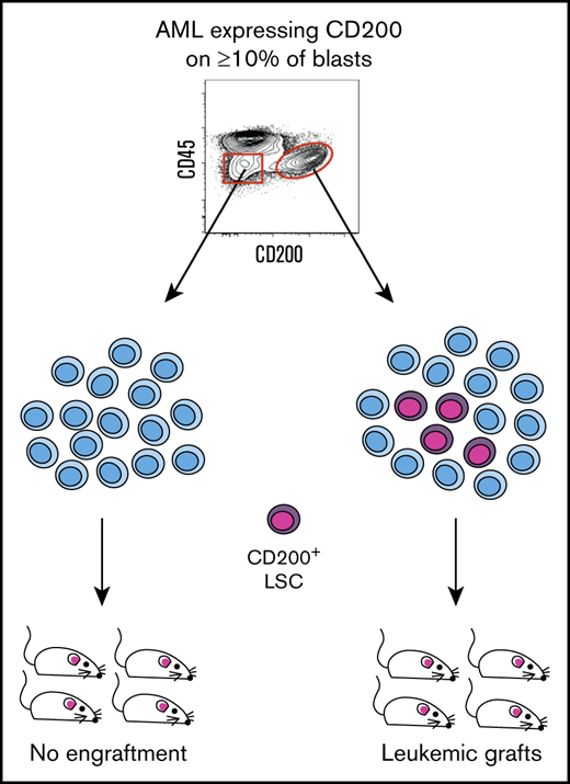 BloodAdvances's tweet photo. CD200 expression marks leukemia stem cells in human #AML https://t.co/YYkHTsCVJn https://t.co/KvzMLiuYfY