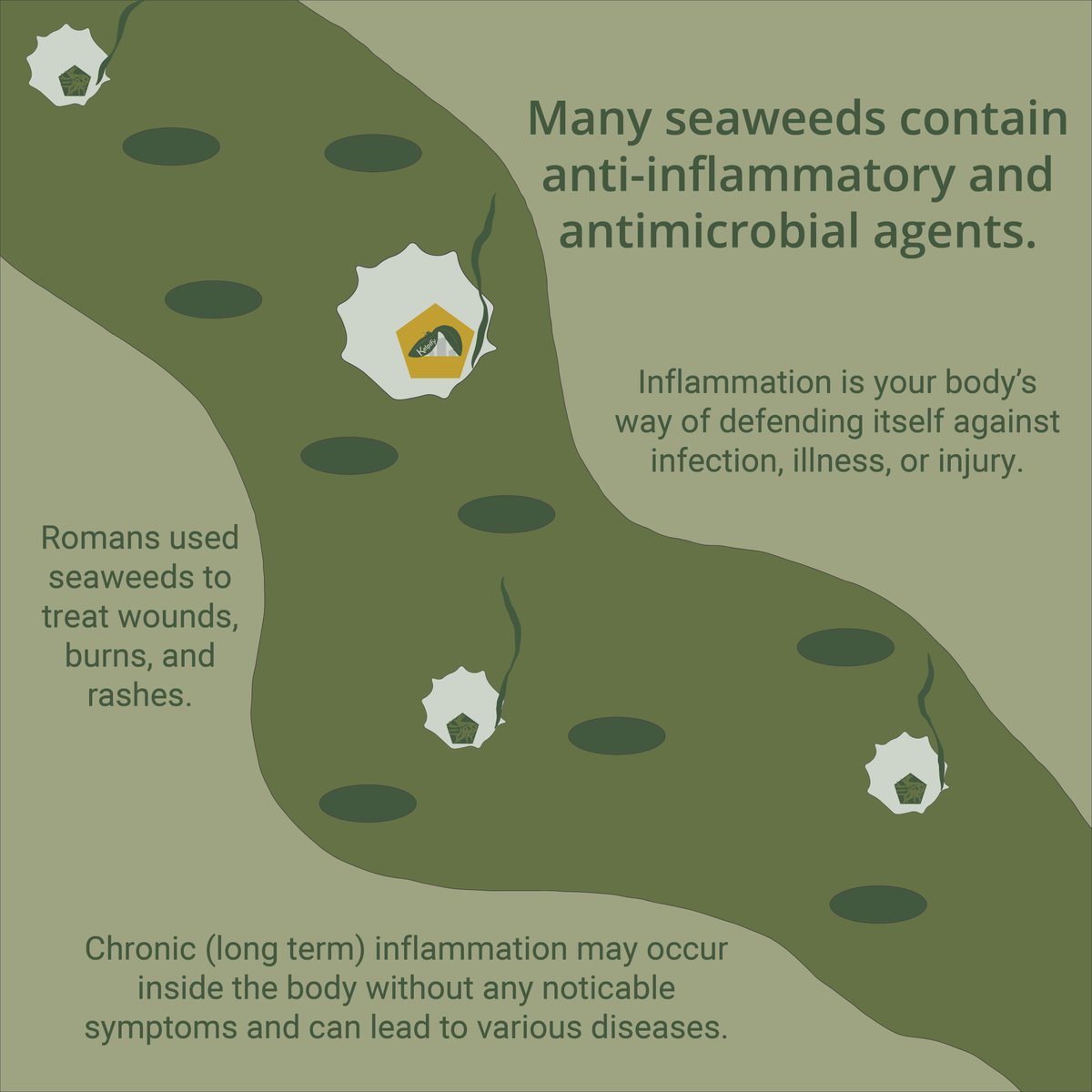 KelpifyMarket's tweet photo. Adding seaweed to your diet or skincare routine can help combat chronic inflammation. 
#kelpify #kelp #seaweed #AntiInflammatoryDiet #antimicrobial #inflammation #chronicinflammation #naturalremedies #seaweedskincare #HealthyLiving #healthylifestyle #healthylife #aquaculture #sea https://t.co/ejpCmYEMoE