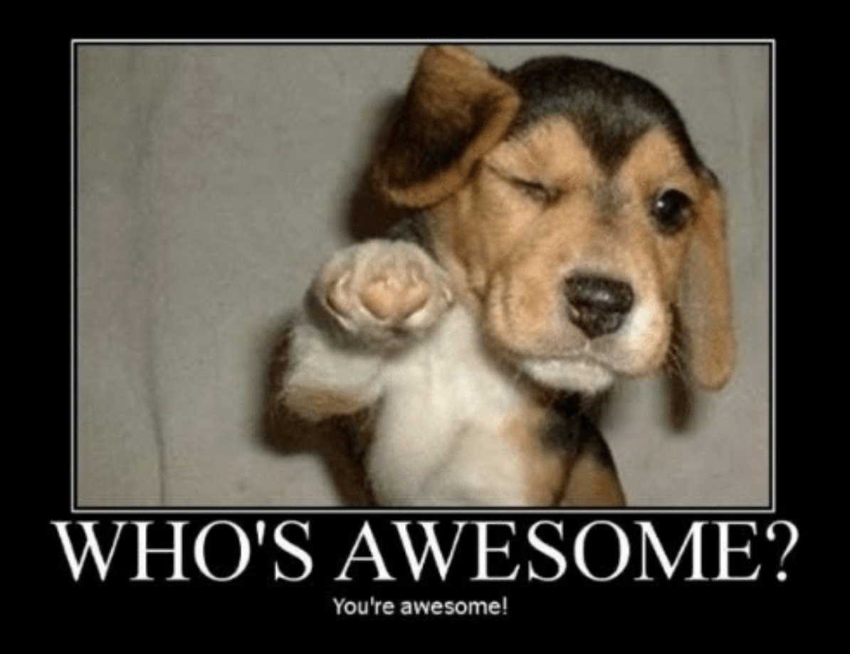 Happy Week 6 Anteaters! We're halfway through the quarter today. Hang in there!!