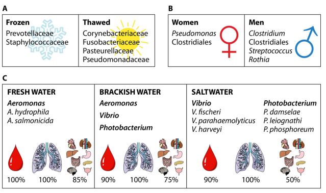 ASMicrobiology's tweet photo. New minireview in @AppEnvMicro: Impact of the Human Microbiome in Forensic Sciences: a Systematic Review https://t.co/ofi2Lgy3xn https://t.co/7GXVUGBrc7