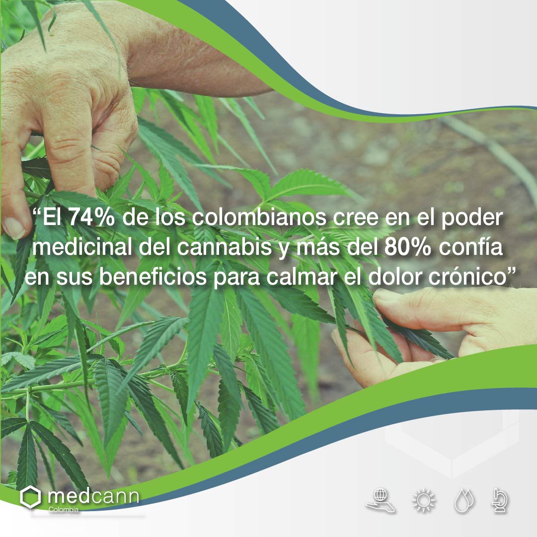 medcanncol's tweet photo. Un estudio realizado por la firma #Econcept para @medcanncol confirmó que la mayoría de los colombianos acepta los beneficios del #cannabismedicinal https://t.co/UzdlfOlINs
