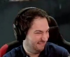 Reborn as Shiba Inu, a thread: