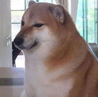 Reborn as Shiba Inu, a thread: