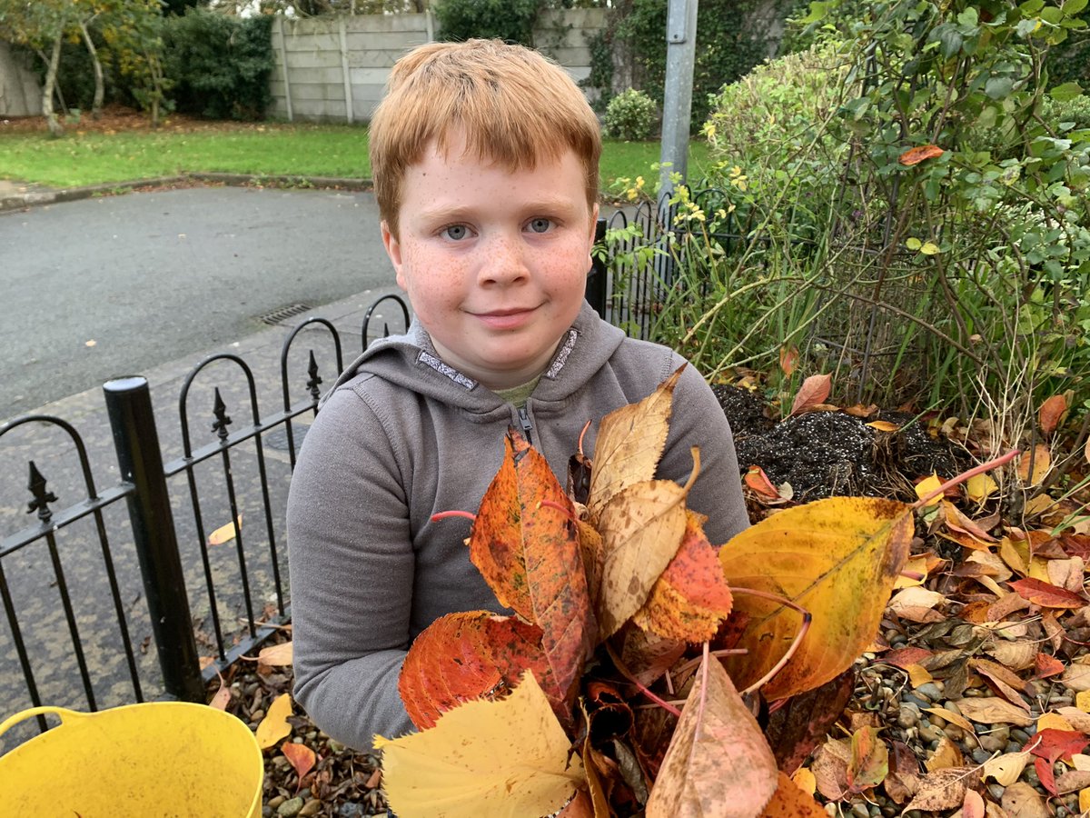 Zack gathers leaves for leaf mould.  #ecofriendly  #gardening