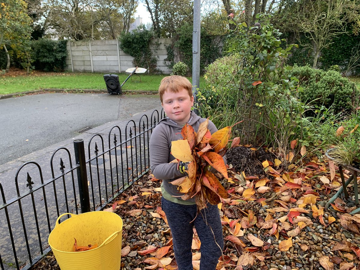 Zack gathers leaves for leaf mould.  #ecofriendly  #gardening