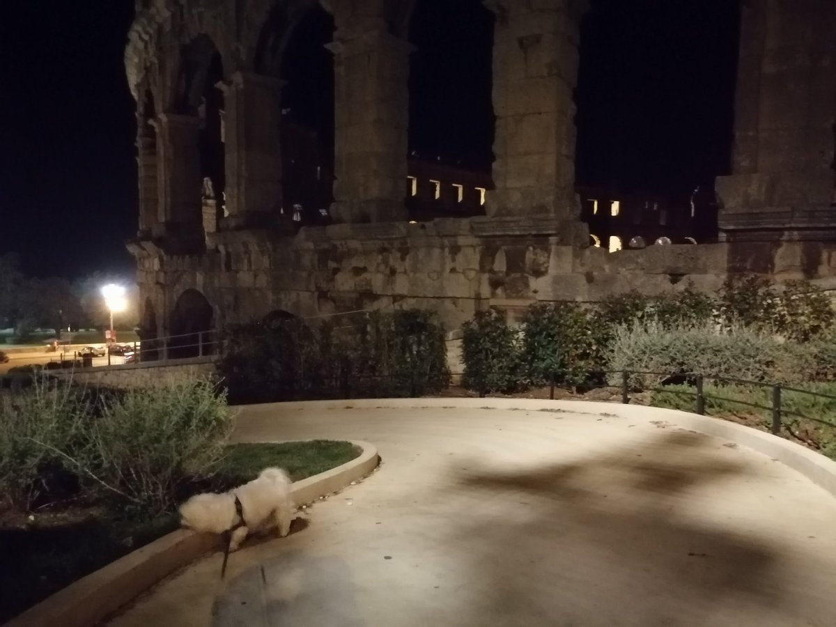 Buljanin's tweet photo. #maltezer #arena #Pula #Istra https://t.co/RXJVAMqFBI