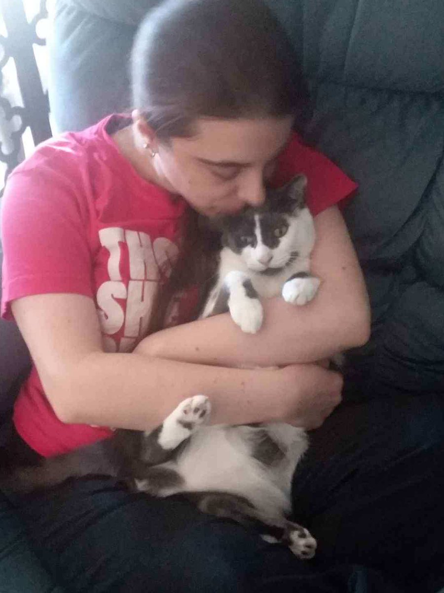 Lizzieveg's tweet photo. Epstein barr flare up but Gizzy loving is the best medicine #epsteinbarrflareup #CatsOfTwitter #AdoptDontShop #thoughshebebutlittlesheisfierce https://t.co/AKJg4l9SjX