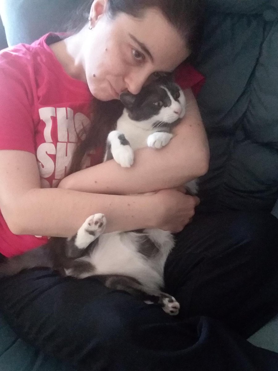 Lizzieveg's tweet photo. Epstein barr flare up but Gizzy loving is the best medicine #epsteinbarrflareup #CatsOfTwitter #AdoptDontShop #thoughshebebutlittlesheisfierce https://t.co/AKJg4l9SjX