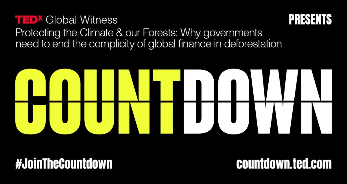 Global_Witness's tweet photo. How can governments help end the complicity of the world’s biggest banks in massive deforestation? Join our exclusive virtual event on Nov 18 to learn more. #JoinTheCountdown

Sign up here: https://t.co/ZsuVtm2ktw https://t.co/7ZNySELLmn