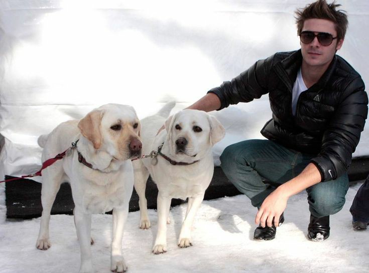 💫
Who want to go for a walk with me and these two amazing dogs? 
💫