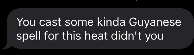 summer in november in new york https://t.co/njZzC8m5Sn