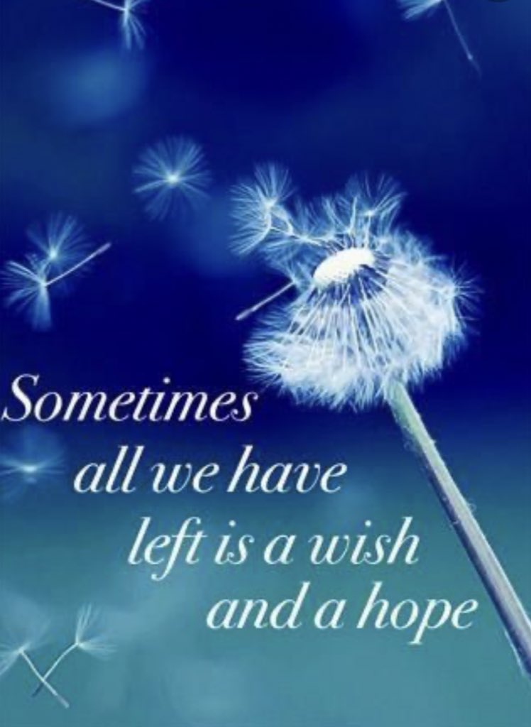 DIVYAAM_1979's tweet photo. It's good to wish for and look forward to the Wondrous Changes Of Life. #HaveABlessedLife🚩🌹🌹🙏🙏 https://t.co/WGhaTFOSmh