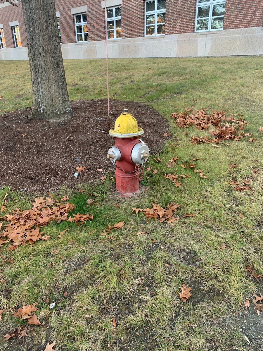 Seeing this artwork made me wonder if ancient peoples had any large structures such as these which had no definable purpose. How will future archaeologists classify these pieces? Walking around campus, I also came across this fire-hydrant, bus stop, and bike rack. /2