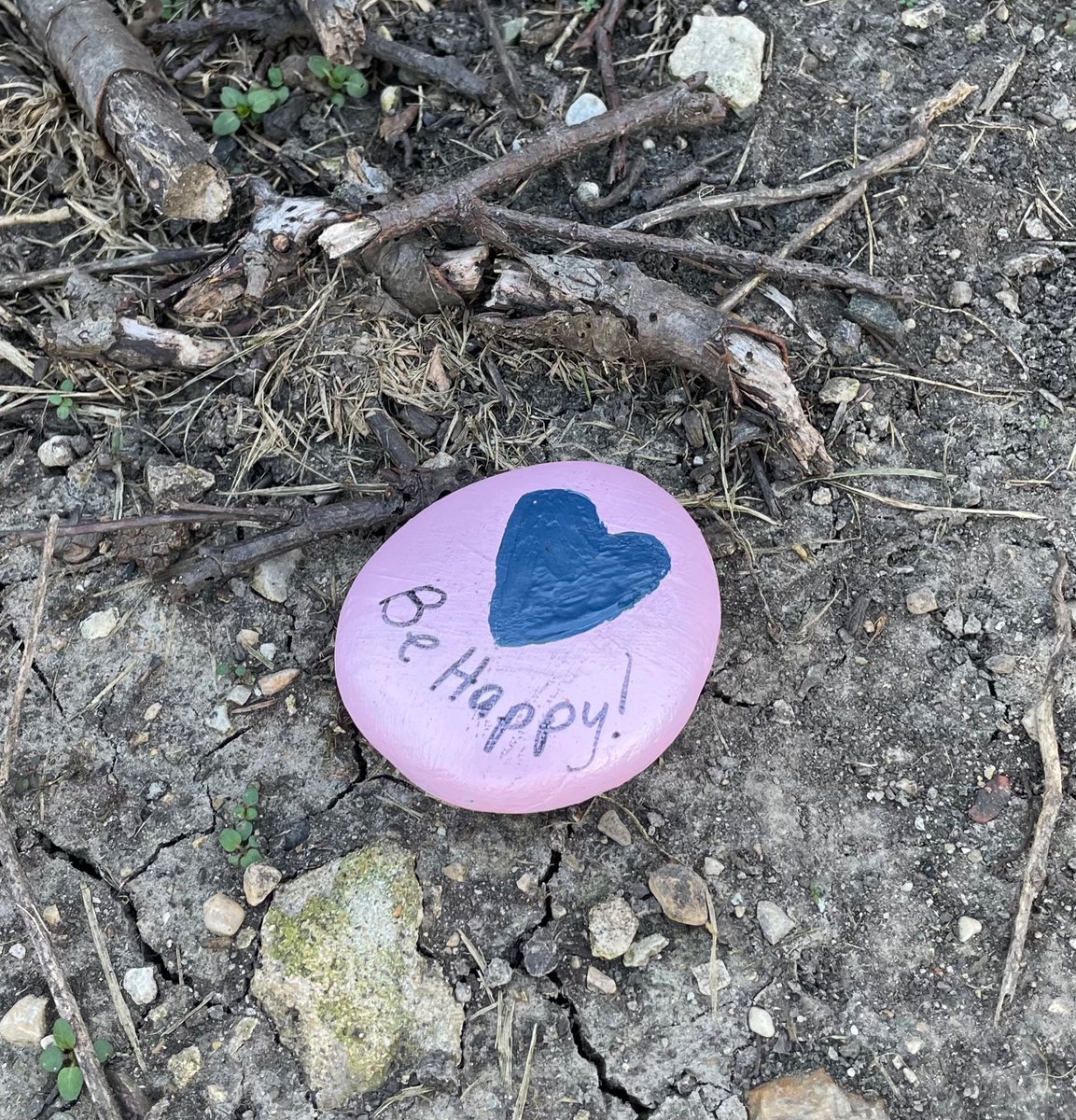 What a nice surprise to see this at TMS!