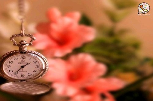 ماغبت عن قلبي ولا هان طاريك ؛ 
اتـابعك بـ اليوم ساعهہ بساعهہ💞