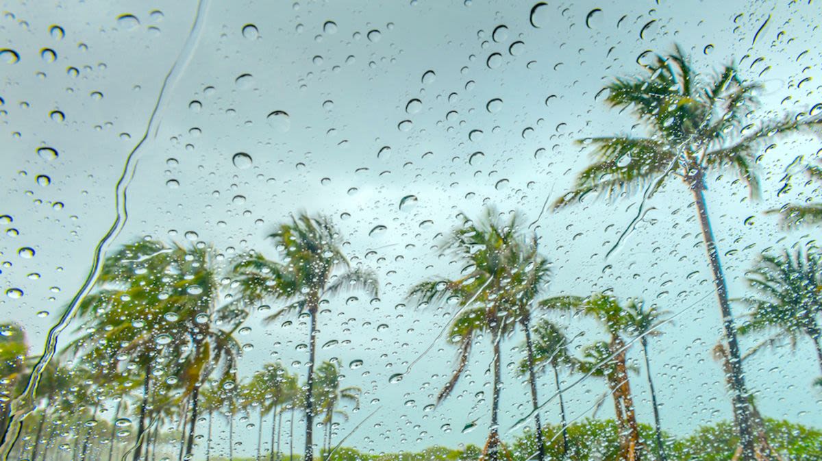 MiamiAwningCo's tweet photo. Stay dry, Miami! As we near the end of #hurricaneseason be sure to DM or comment your awning questions!
.
.
.
#MiamiOutdoorLiving #MiamiDecor #MiamiOutdoorDesign #Awnings #Customs #Shades #MakeAnEntrance #CurbsideBeauty #HomeImprovements #OutsideLiving #SocialDistancing https://t.co/Bv0dAlN2FR