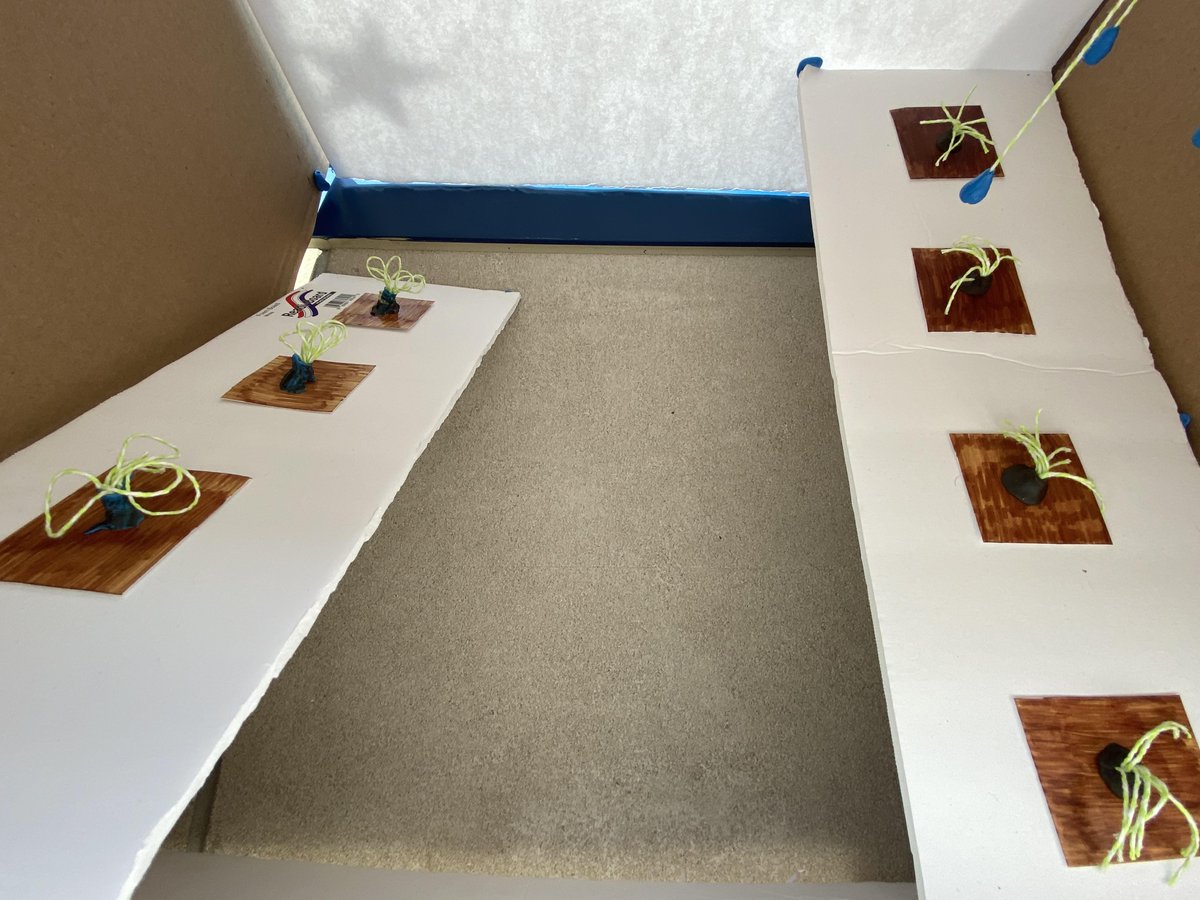 southdearborncs's tweet photo. South Dearborn Middle School Agriculture Students recently learned about nutrient management practices and conserving water so we can grow more crops on less land. They devised a plan to make farming more sustainable with the concepts they learned. Here are some creations. https://t.co/Z15UhwiInI