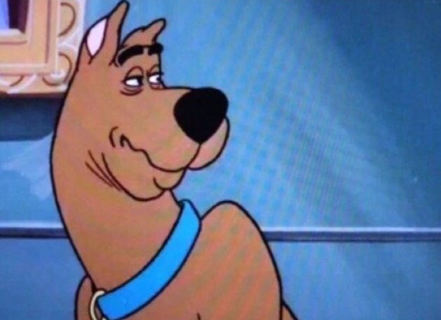RacismDog's tweet photo. https://t.co/ydrIOsrFjJ