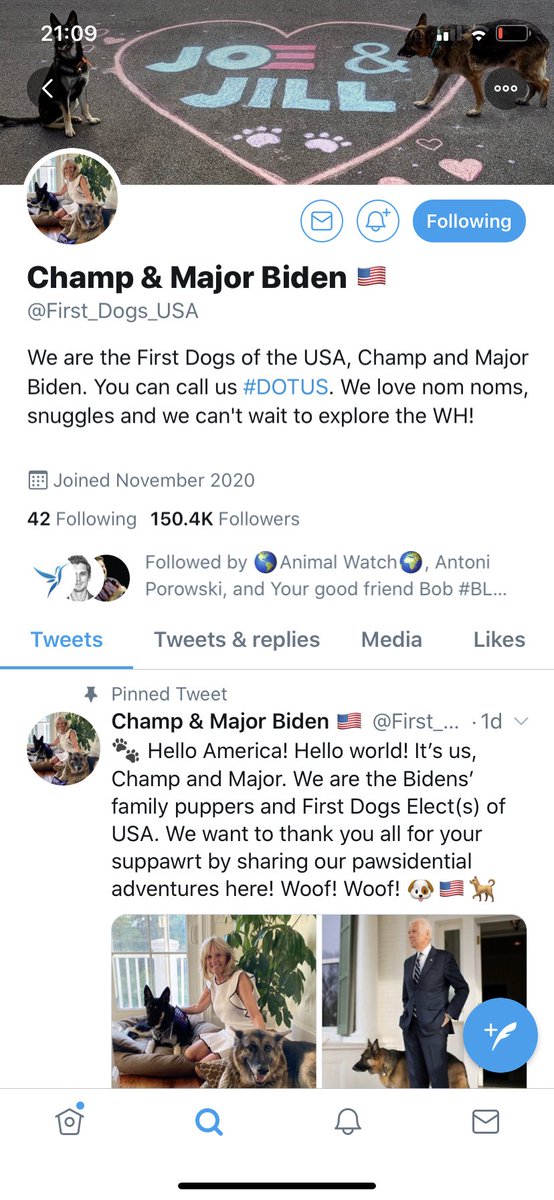 therescueshow's tweet photo. Following!

#DOTUS
#rescuedog
#adoptdontshop
#lucyslaw https://t.co/yNZzubBIoo