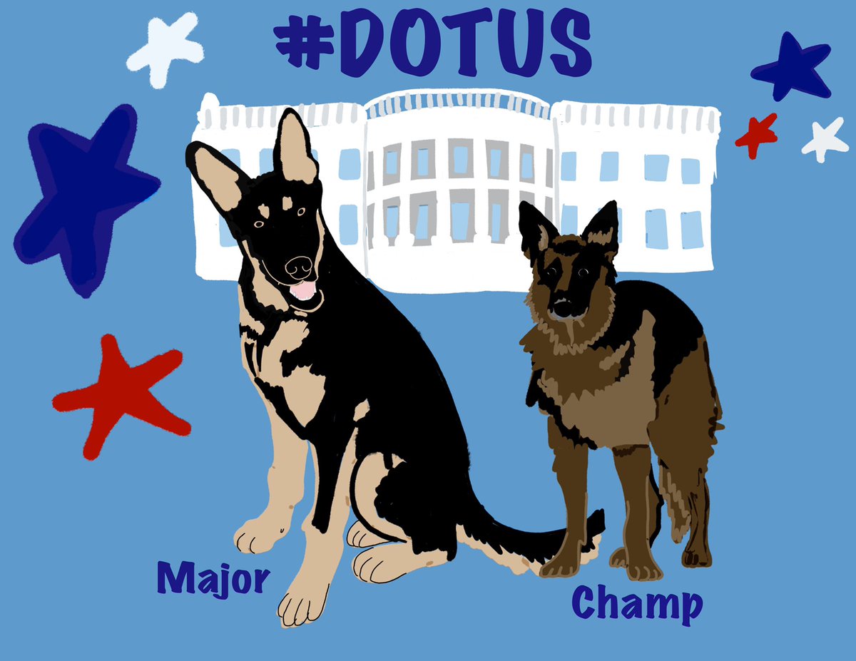 sassafraslowrey's tweet photo. Just a little something I’ve been playing around with today—- so excited about #DOTUS  @First_Dogs_USA  and their dad @JoeBiden!!!! #goodestdogs #gooddog #doggo https://t.co/9w7BqAeMcl
