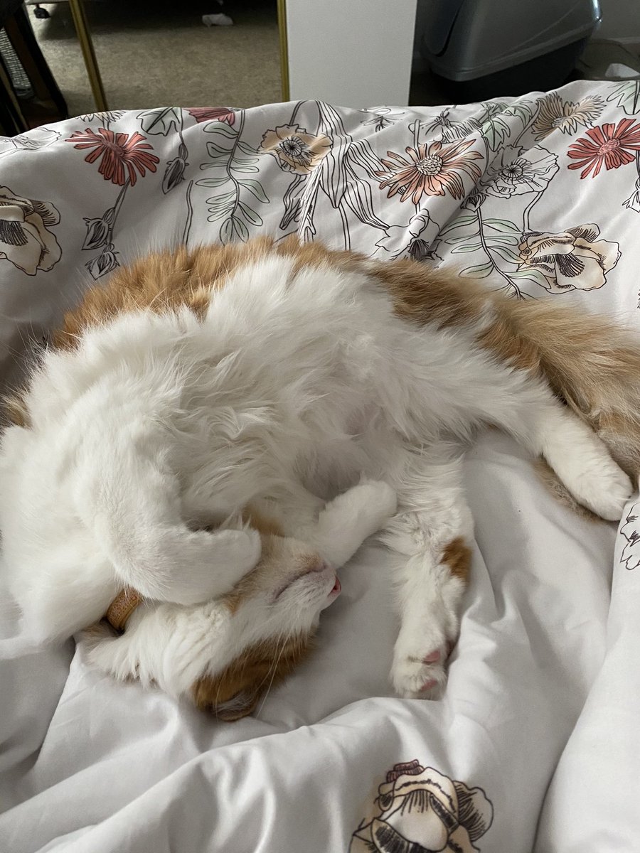 jenna lynn 💫 tweet media