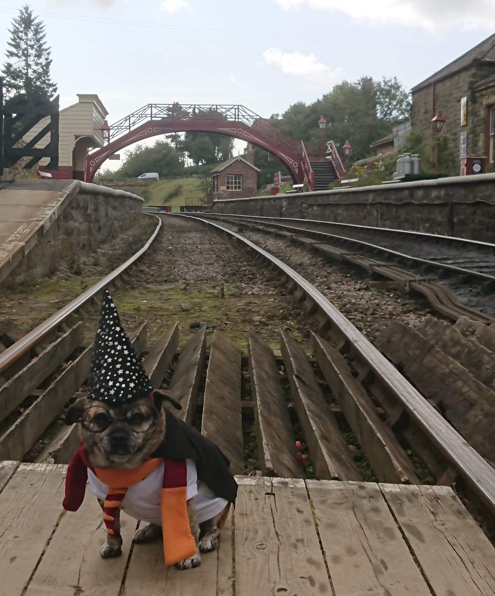 WetnoseShow's tweet photo. Much More Fabulous Wetnose Competition Entries 
It’s FREE to Enter just message your pets photos here or to our FB page https://t.co/7XkEMPqbbO…
Second Lockdown Competition #Lockdown2 https://t.co/dcJQuOTxDX