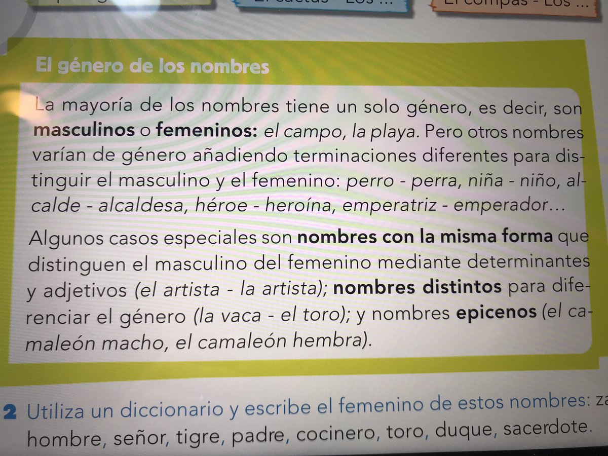 RocioGarnacho's tweet photo. #YoQuieroEnsenanzaEnEspanol.        A poder ser correcta y al menos con el nivel de sexto de primaria. https://t.co/Of4u8sc13g