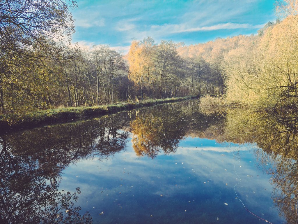 Pickering Fishery Association tweet media