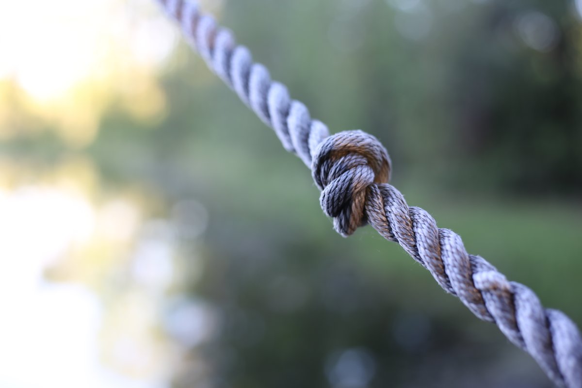 Friends, it's more than a week into November and it's 70 degrees at Camp Gray! It's so nice out we may just have to take a trip off the rope swing into LAKE JAKE!
Who's coming with us?! 🤣🐡