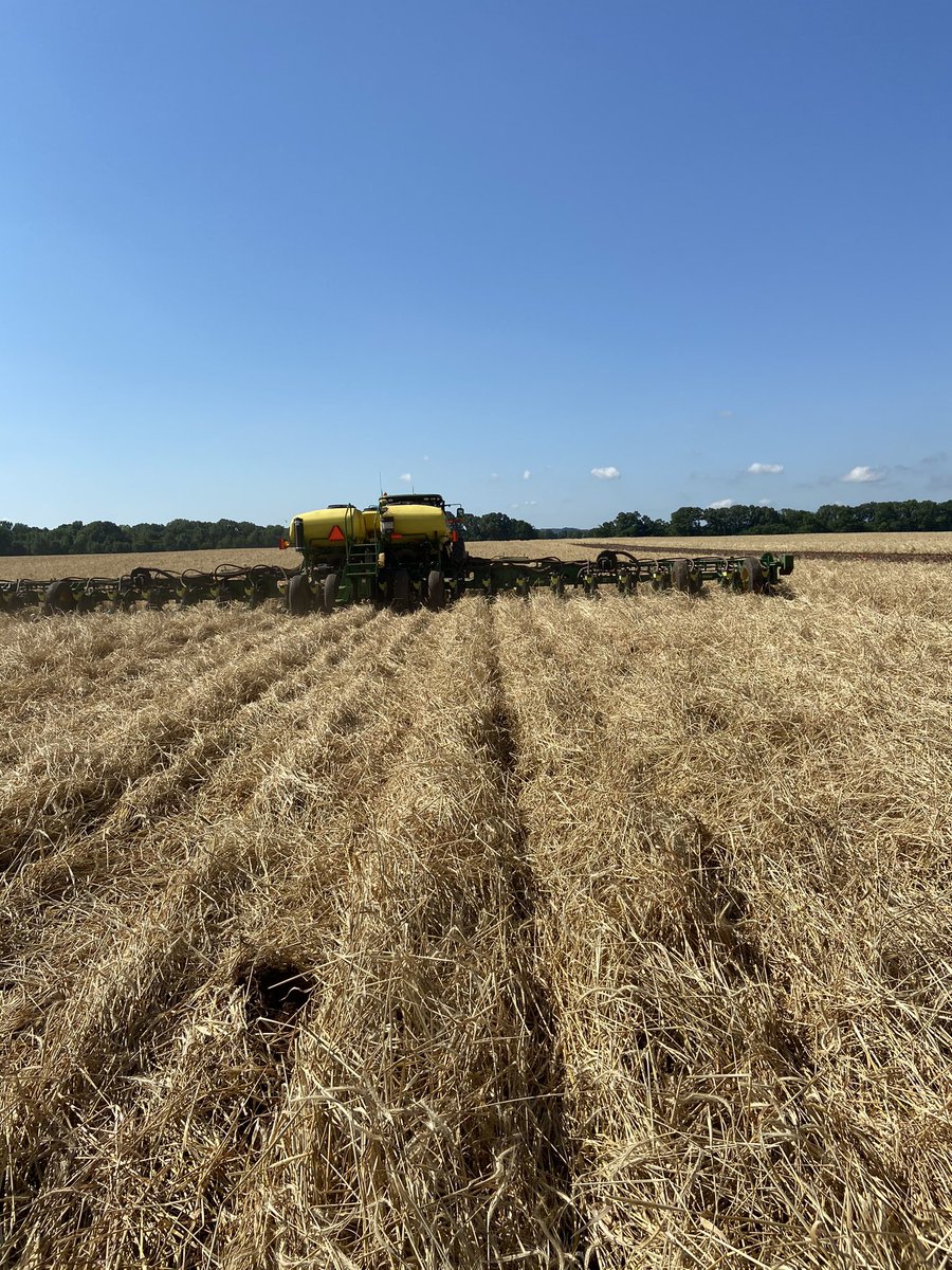 sthornton29's tweet photo. The sustainable fiber #cotton #harvest20 https://t.co/Ht1WmOzPhr