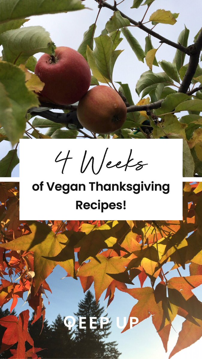 Who’s thinking about Thanksgiving? We are! Vegan Thanksgiving, that is. Try @MaggieQ’s recipe for vegan sourdough stuffing! qeepupnation.com/2020/11/05/qee…