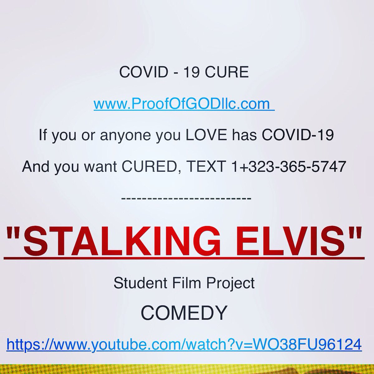 Elvis Lives tweet media