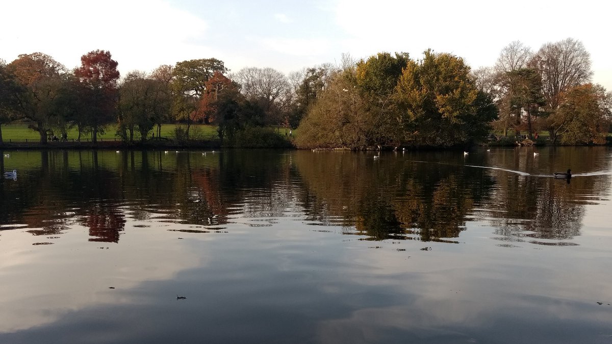 Yudit_BZ's tweet image. ...Dancing of the autumn leaves on the surface of a lake is a dream we see when we are awake! By Mehmet Murat ildan #MyPhotos at Grovelands Park in #London #BeautifulPlaces  #AutumnColours reflections #NatureLovers