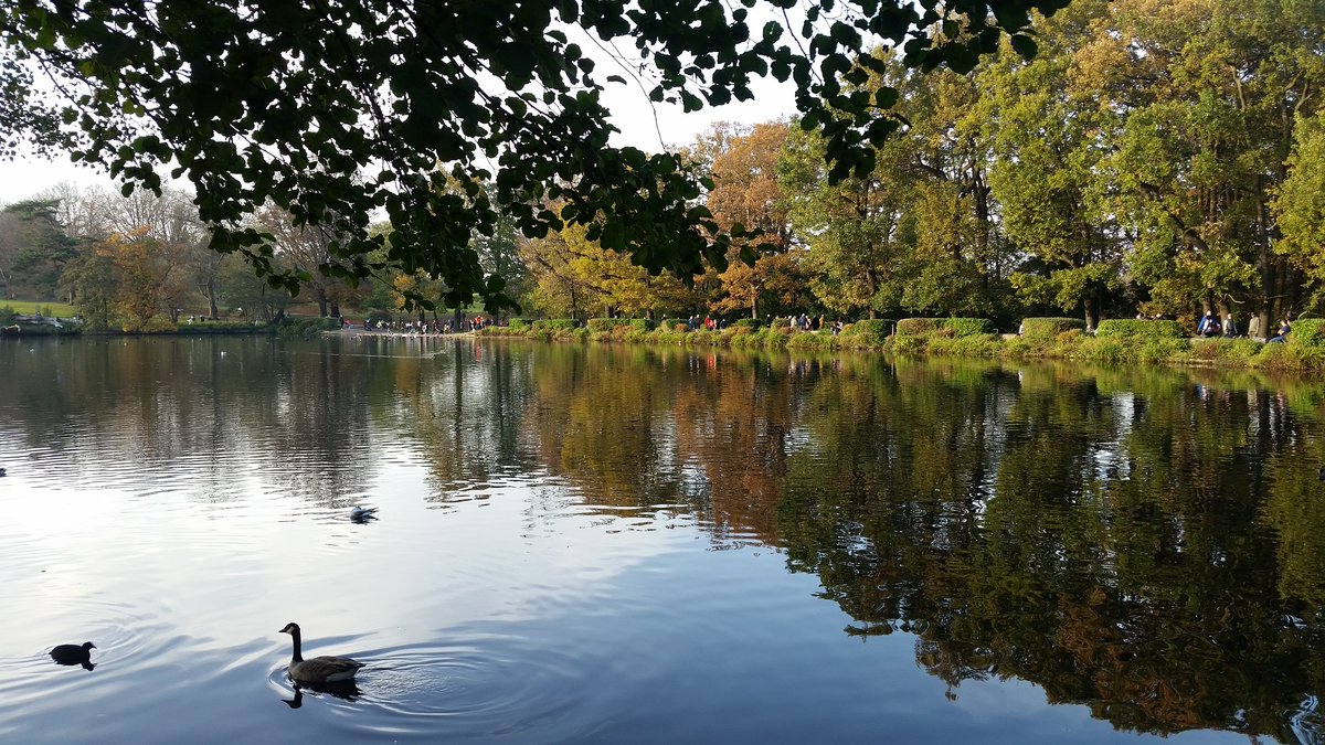 Yudit_BZ's tweet image. ...Dancing of the autumn leaves on the surface of a lake is a dream we see when we are awake! By Mehmet Murat ildan #MyPhotos at Grovelands Park in #London #BeautifulPlaces  #AutumnColours reflections #NatureLovers