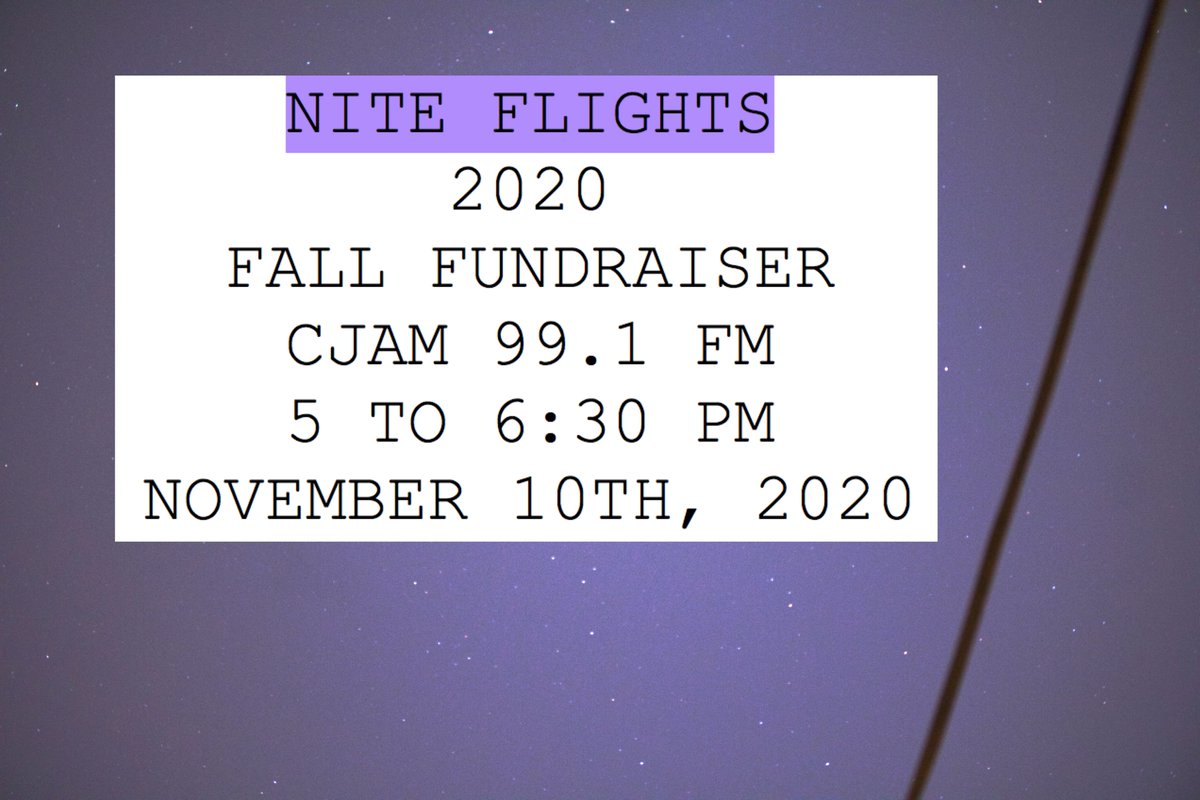 nite flights tweet media