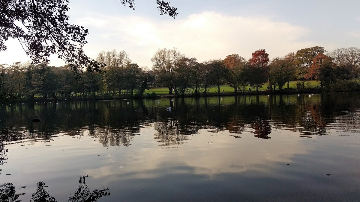 Yudit_BZ's tweet image. ...Dancing of the autumn leaves on the surface of a lake is a dream we see when we are awake! By Mehmet Murat ildan #MyPhotos at Grovelands Park in #London #BeautifulPlaces  #AutumnColours reflections #NatureLovers