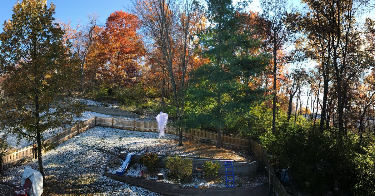 goolander91's tweet photo. Around this time year in 2018/2019, we had snow on the ground at PrideRock. Today’s high 76°. Wild. 🎼 🎧 🍁  #leaves #foliage #naturephotography #naturenaturelovers #autumnvibes 🍁 #autumnleaves 🍂  #bokeh #photography ##autumnisbeautiful #leavesfalling #naturelover #sugarmaple https://t.co/kRE7eDDiC1