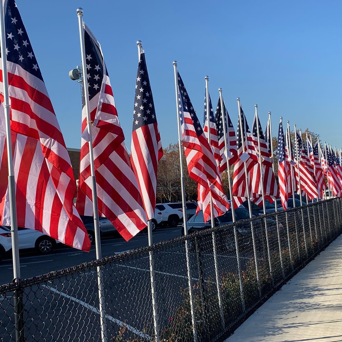 fsclafani91's tweet photo. A preliminary look at our Flag Field of Honor.  150 flags!! The students raised $1500 for America’s VetDogs- I am so proud of them!! Stayed tuned for more pics from our planned ceremony on Thursday Nov 12 at 1145.  #mineolaproud https://t.co/wmIj9daRVv