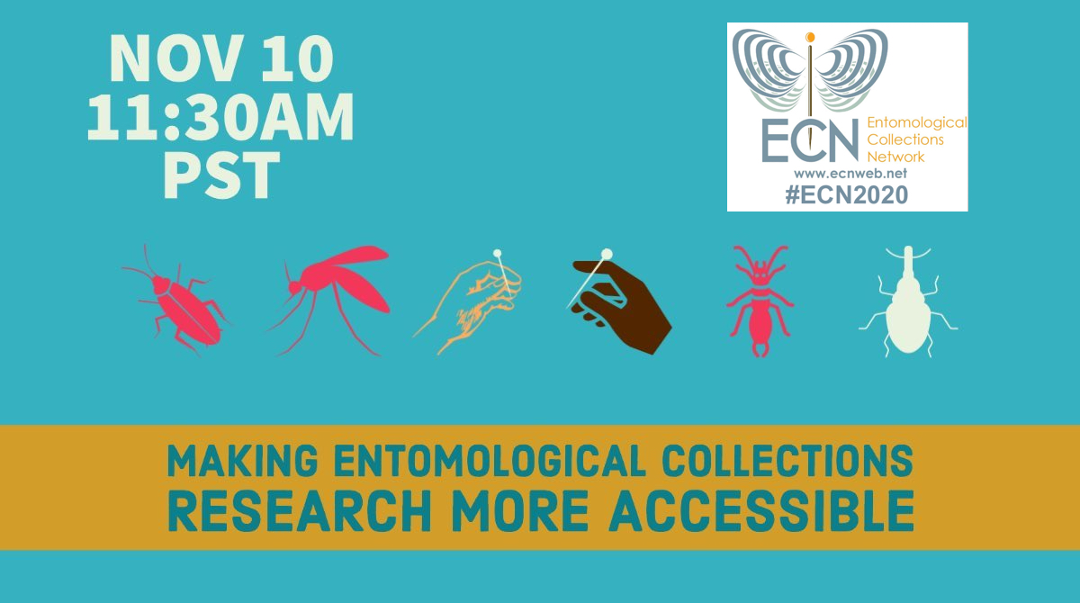 EntCollNet's tweet photo. Tomorrow (Nov. 10th) - join @natashayoungest @carabidos &amp; Kendra Del Toro at 11:30 am PST (19:30 UTC), for our symposium on 'Equity, Justice, and Inclusion in ENTO: Making Entomological Collections Research more accessible". #DiversifyEntomology #ECN2020 https://t.co/QdqVpYOHAG