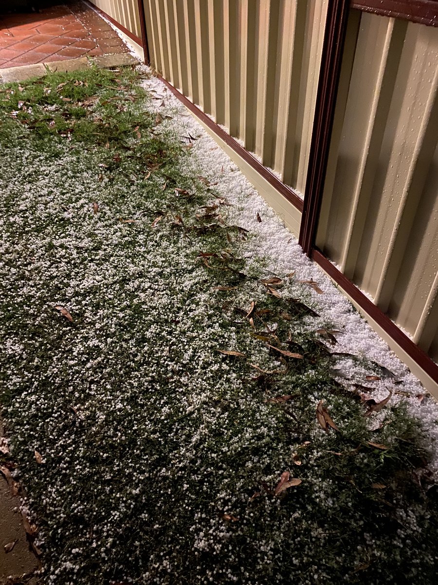 Jeff Lander tweet media