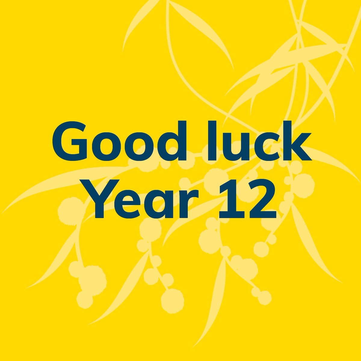 Thinking of all our Year 12s today and in the upcoming exams. Also our Year 11s who have studied a Unit 3/4 subject this year. You have worked hard through a difficult year and we wish you all the best.
#cmcBendigo #cmcClassof2020 #cmcCommunity