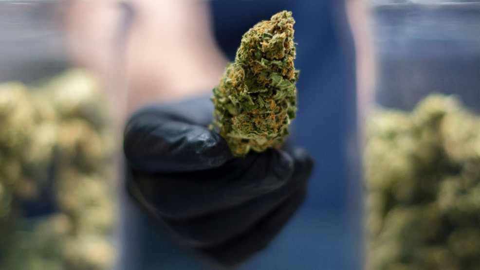 News4SA's tweet photo. Texas Senator-elect Roland Gutierrez files bill to legalize marijuana in Texas https://t.co/SEP4ziVM0P https://t.co/IZE6mDiDMo