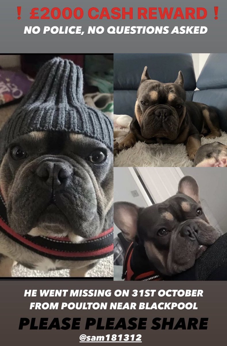 Jackson Hastings tweet media