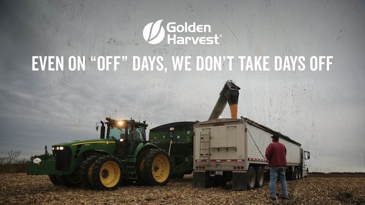 GldnHarvest's tweet photo. There are no days off during harvest, but we look forward to toasting your success soon. #RunTheSeason https://t.co/UYIAEerbT8