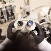 ppisters's tweet photo. Tremendous achievement for @MDAndersonNews School of Health Professions: top 1% national ranking for lab sciences, top 5% for public health and top 10% for diversity, among other honors from @CollegeFactual. Congratulations to our outstanding educators and students! #EndCancer https://t.co/Jhu8vrrYkL