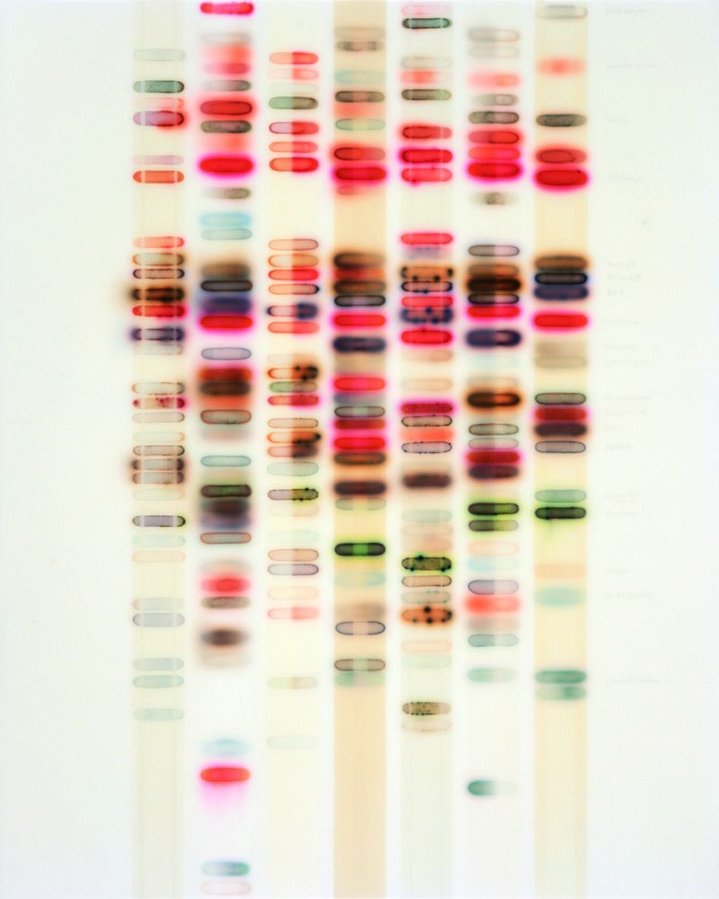 northstardoll's tweet image. mixed media on panel by jaq chartier